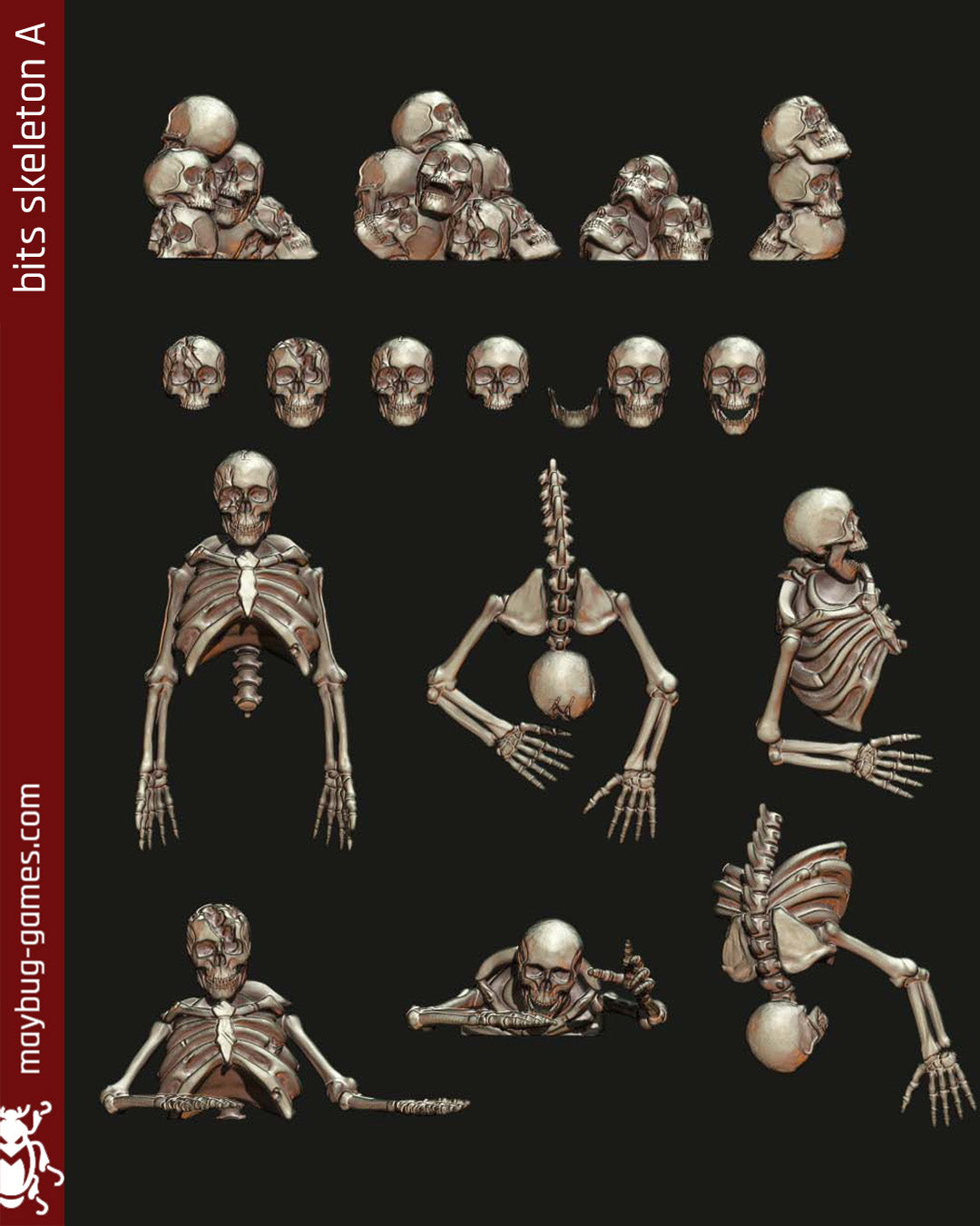 bits skeleton A